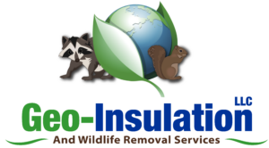 Geo Insulation of Alabama logo