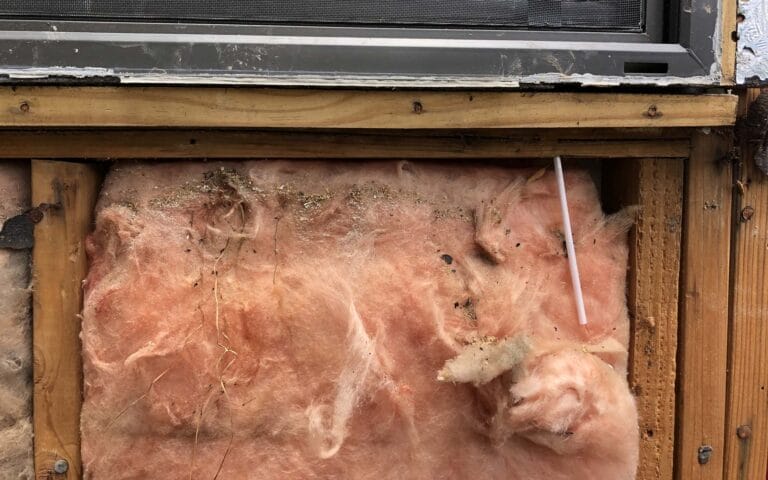 5 signs your home insulation needs to be replaced.